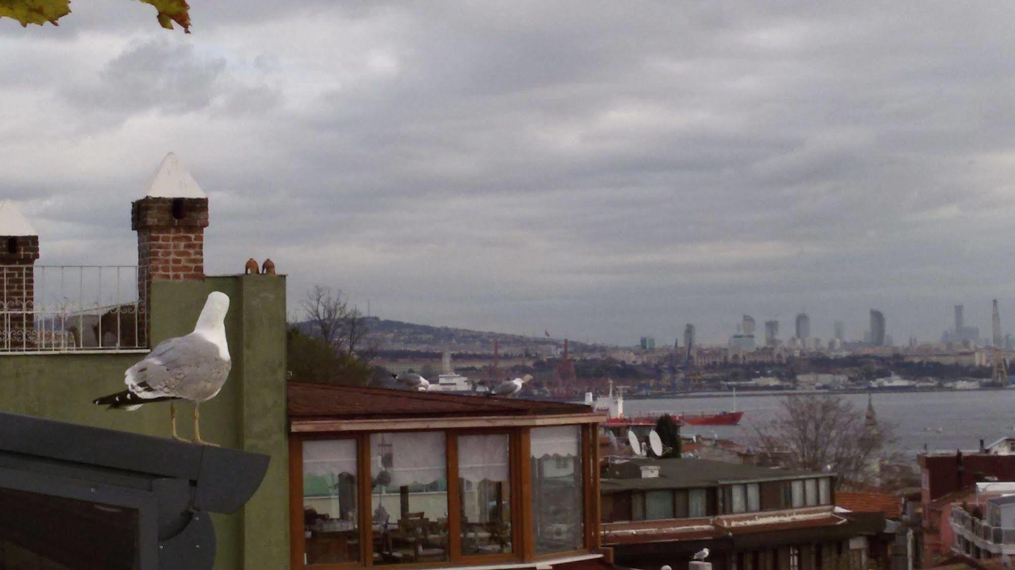 Buhara Family İstanbul